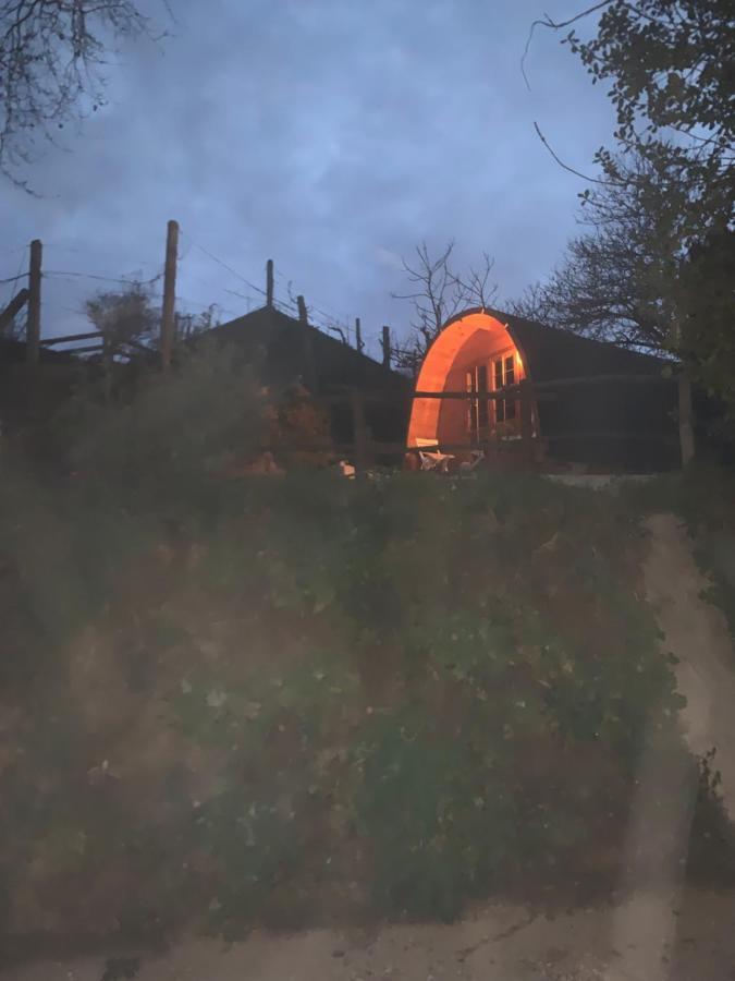 Gallas Pod House Vouzela Exteriér fotografie